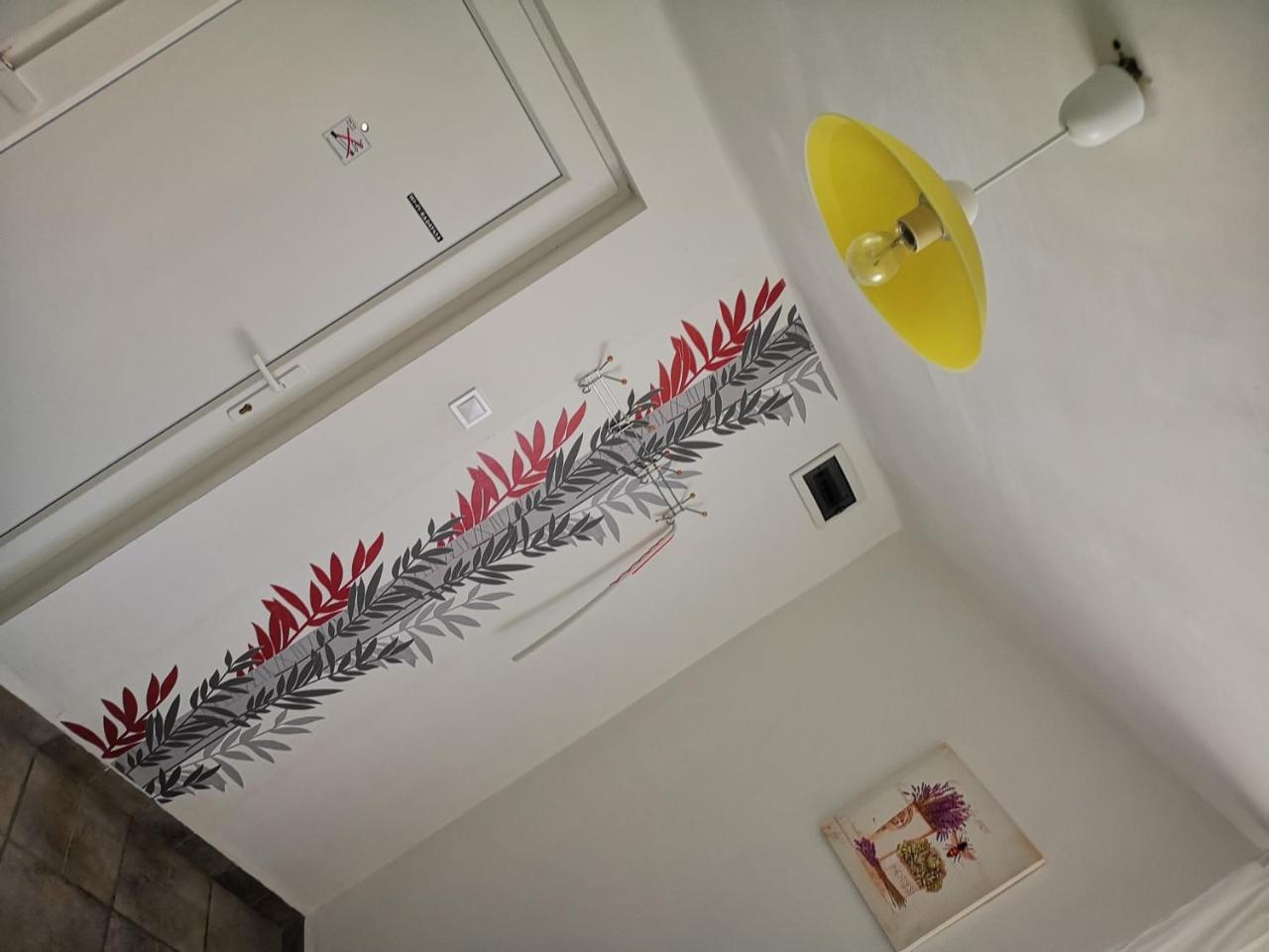 Raday Apartman มาโค ภายนอก รูปภาพ